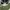 New Era Streetwear Sportswear Hat Pria green black photo 6