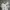 Adidas Sportswear Jersey Pria white black photo 2