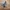 Adidas Vintage Casual Casual shoe Pria navy gray photo 2