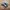 Adidas Vintage Casual Casual shoe Pria navy gray photo 1