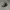 New Era Streetwear Sportswear Hat Pria black photo 2