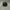 New Era Streetwear Sportswear Hat Pria black photo 3
