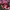 Lolita Cosplay Bra Wanita Red