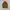 Uniqlo Luxury Minimalist Parka Pria brown photo 4