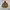 Uniqlo Luxury Minimalist Parka Pria brown photo 1