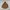 Uniqlo Luxury Minimalist Parka Pria Brown