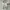 Nike Sportswear Casual Polo shirt Pria white photo 3