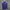 Adidas Sportswear Track jacket Pria purple photo 1