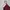 Casual Crop top Wanita burgundy red photo 3