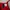 H&M Y2K Casual Crop top Wanita red photo 2