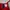 H&M Y2K Casual Crop Top Wanita Red