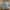 Coquette Casual Crop top Wanita blue photo 1