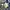 Vintage Y2K Formal shirt Pria white black photo 4