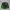 Nike Streetwear Sportswear Sweater Pria green black photo 1