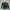 Nike Streetwear Sportswear Sweater Pria Green Black