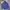 Dickies Gorpcore Windbreaker Pria blue photo 1