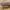 Vintage Y2K Belt Pria brown photo 3