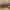 Vintage Y2K Belt Pria brown photo 2