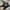 Timberland Lolita Biker Boots Wanita black photo 4