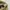 Champion Y2K Casual Hat Pria green cream photo 3