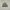New Era Casual Hat Pria burgundy white photo 1