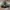 Raf Simons Biker Cosplay Boots Pria multicolor photo 5