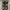 Raf Simons Biker Cosplay Boots Pria multicolor photo 6