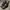 Raf Simons Biker Cosplay Boots Pria multicolor photo 2