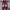 Minimalist Heels Wanita pink photo 1