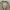 Crocodile Luxury Casual Harrington jacket Pria brown photo 3