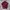 Polo Ralph Lauren Luxury Casual Polo Shirt Pria Burgundy