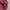Polo Ralph Lauren Luxury Casual Polo shirt Pria burgundy photo 6