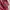 Polo Ralph Lauren Luxury Casual Polo shirt Pria burgundy photo 7