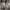 Uniqlo Streetwear Jeans Pria multicolor photo 8
