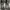 GAP Streetwear Jeans Pria silver photo 8
