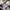 GAP Streetwear Jeans Pria silver photo 6