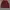 Uniqlo Casual Sweater Pria burgundy photo 1