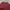 Uniqlo Casual Sweater Pria burgundy photo 2