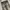 EDWIN Streetwear Jeans Pria multicolor photo 2