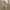 Dickies Streetwear Casual Casual pants Pria khaki photo 4