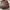 Luxury Casual Handbag Wanita brown photo 3
