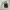 Luxury Casual Handbag Wanita black photo 2