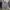 Streetwear Formal shirt Pria gray photo 1