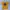 Adidas Sportswear T-shirt Pria yellow photo 2