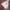 Kappa Sportswear Casual T-shirt Pria multicolor photo 1