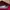 New Balance Luxury Casual Track jacket Pria red photo 4