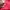 New Balance Luxury Casual Track jacket Pria red photo 7
