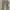 Y2K Sportswear Kids tan cream photo 1