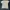 Vintage Coquette Crop top Wanita white pink photo 1