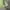 The North Face Gorpcore Windbreaker Pria green gray photo 4